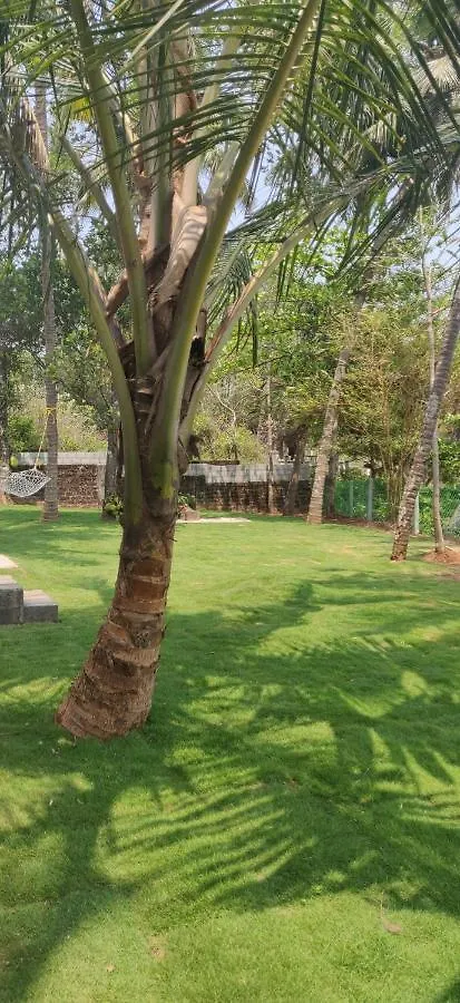 Perch By The Sea Bed & Breakfast Kannur