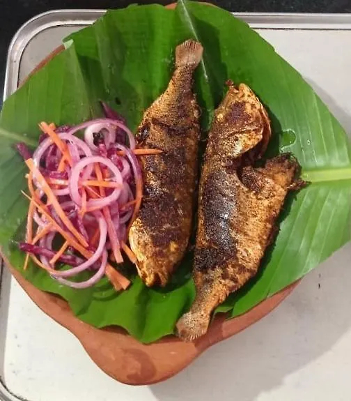 Perch By The Sea Bed & Breakfast Kannur