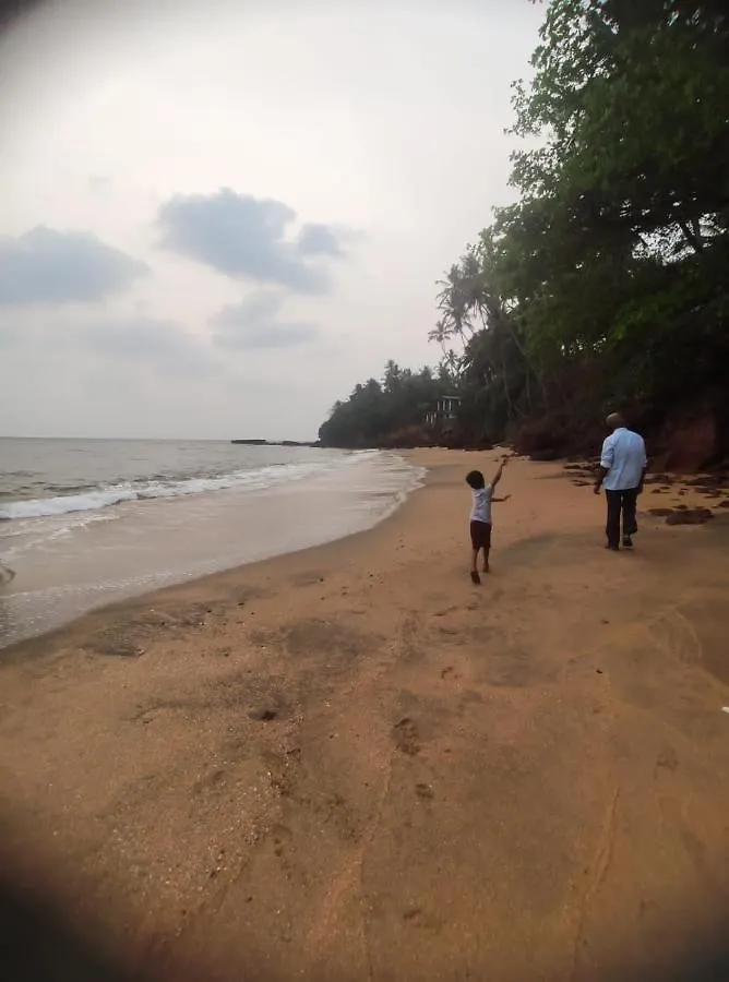 Perch By The Sea Bed & Breakfast Kannur